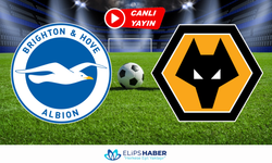 Selcuksports HD | Brighton - Wolverhampton maçı canlı izle