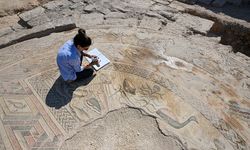 Dülük Antik Kenti'ndeki mozaikler turizme kazandırılacak