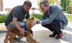 Erdal Beşikçioğlu sözünü tuttu: 5 sokak köpeği belediyede görevlendirildi