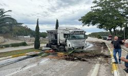 Erdek’te sürücüsünün kontrolünden çıkan TIR, ağaç ile aydınlatma direğine çarptı