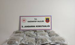 Gaziantep'te, 32 kilo 400 gram skunk ele geçirildi