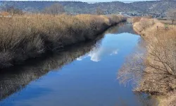 Manisa'da Gediz Nehri'ndeki balık ölümleriyle ilgili inceleme başlatıldı