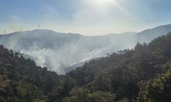 Hatay'da orman yangını