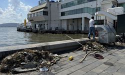 İzmir Körfezi'nde balık ölümleri devam ediyor