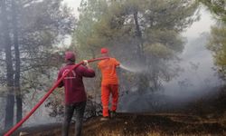 Kahramanmaraş’taki yangında 15 hektar orman zarar gördü