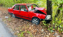 Karabük’te ehliyetine el konulan sürücü ağaca çarptı: 2 yaralı