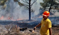 Muğla'da yıldırımlar 50 yerde yangına neden oldu