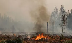 California eyaletinde yangınlarda 1 milyon dönümden fazla alan kül oldu