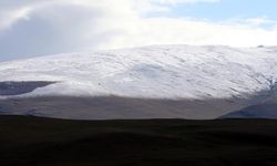 Kars ile Ardahan'da soğuk hava ve kırağı etkili oldu