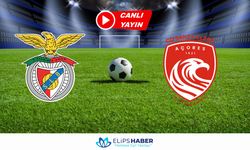 Selçuksport HD | Benfica – Santa Clara maçı canlı izle