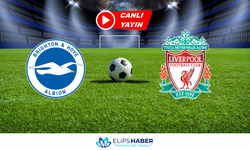 Selçuksports HD | Brighton – Liverpool maçı canlı izle