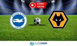 İnat TV | Brighton – Wolverhampton maçı canlı izle