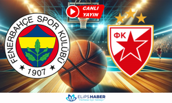 Selcuksports HD | Fenerbahçe BEKO - Kızılyıldız maçı canlı izle