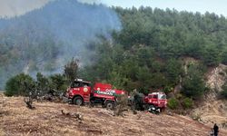 Gaziantep'te ormanlık alanda çıkan yangın söndürüldü