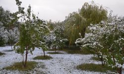 Hakkari'de kar yağışı etkili oldu