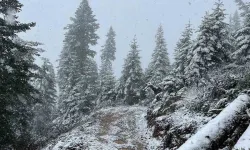 Kastamonu'nun yüksek kesimlerinde kar etkili oldu