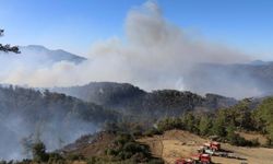 Muğla’da başlayan yangına müdahale sürüyor: 85 ev tahliye edildi