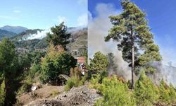 Muğla'da orman yangınına neden olan zanlı tutuklandı