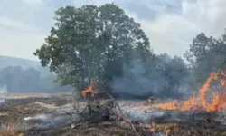 Muğla'da çıkan yangında 2 hektar makilik ve tarım alanı zarar gördü