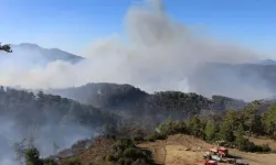 Muğla'daki orman yangını 3'üncü günde