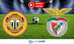 Selcuksports HD | Nacional - Benfica maçı canlı izle