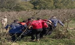 Ordu'da kaybolan kişi fındık bahçesinde ölü bulundu