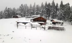 Sinop'ta kar yağışı: Vatandaşlar yaylada mahsur kaldı