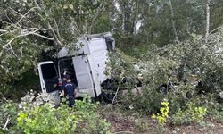 TIR, ağaca çarptı; sıkışan şoförü itfaiyeye kurtardı