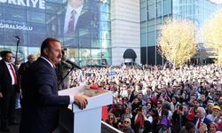 A Partisi’nin adının anlamı nedir? Neden A Parti?