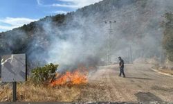 Antalya'daki orman yangını kontrol altına alındı