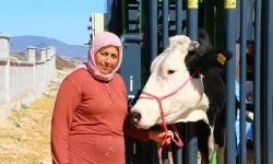 Antalya Büyükşehir Belediyesi'nden hayvancılığa destek