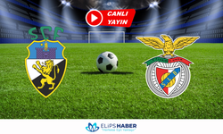 Selçuksports HD | Farense – Benfica maçı canlı izle