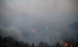 Hatay'daki orman yangını evlere ulaştı