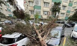 AKOM, İstanbul'daki fırtınanın bilançosunu açıkladı