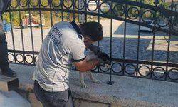 Kafası demir parmaklıklara sıkışan köpek itfaiye tarafından kurtarıldı