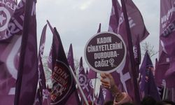 Son 10 ayda 343 kadın katledildi