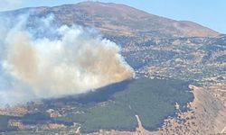 Kahramanmaraş’ta ormanlık alanda çıkan yangın kontrol altına alındı