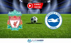 Selçuksports HD | Liverpool – Brighton maçı canlı izle