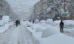 Orta ve Doğu Karadeniz'de 998 yerleşim yerine ulaşım sağlanamıyor