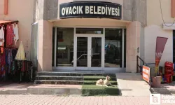 Ovacık'a neden kayyum atandı?