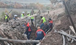 Siirt'te ağılın tavanı çöktü, 3 küçükbaş öldü