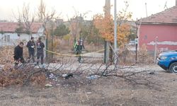 Şizofreni hastası, bıçakla annesini ağır yaraladı, eniştesinin boğazını kesti