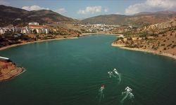 Tunceli'de baraj gölünde mahsur kalan yaban keçisini dalgıçlar kurtardı