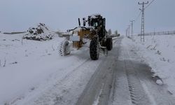 Van'da kardan kapanan 134 yerleşim yerinin yolu açıldı