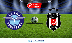 Taraftarium24 | Adana Demirspor – Beşiktaş maçı canlı izle