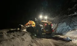 Ayder Yaylası yoluna çığ düştü, trafikte aksama yaşandı