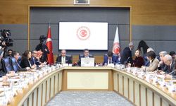 Bebek Ölümlerini Araştırma Komisyonu, Sağlık Bakanlığı yetkililerini dinledi