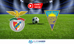 Justin TV | Benfica - Estoril maçı canlı izle