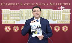 DEVA Partili Şahin, 2025 yılı bütçesini eleştirdi