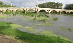 Edirne'de kuraklığa karşı Tunca Nehri'ne mini baraj